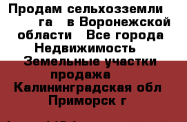 Продам сельхозземли ( 6 000 га ) в Воронежской области - Все города Недвижимость » Земельные участки продажа   . Калининградская обл.,Приморск г.